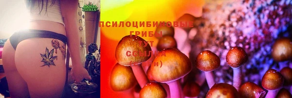 герыч Бугульма