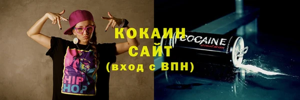тгк Бронницы