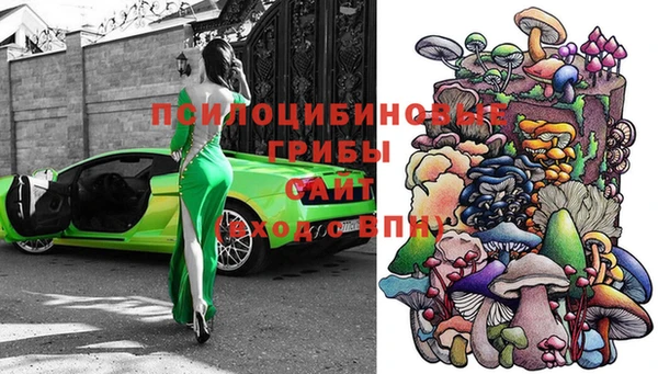 соль курить ск Бородино